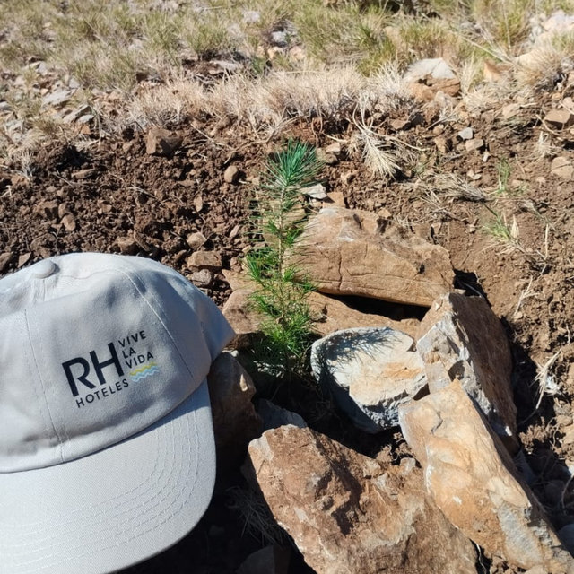Cuarta jornada de reforestación de RH Hoteles