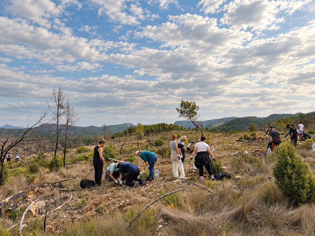Reforestación de zona azotada por un incendio en 2023
